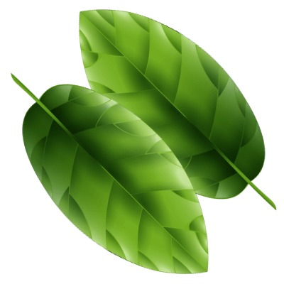 Home image leaf